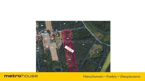 Posiadłość 1,26 ha w Grzegorzewicach