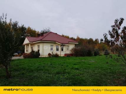 Potencjał, który w końcu zasługuje na Twoją uwagę
