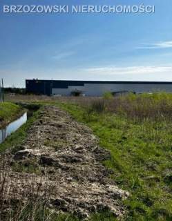 Duchnów, 5,5 ha, MPZP, usługi, magazyny