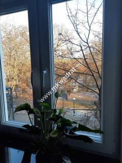 Apartament dla wielbiciela niebanalnych miejsc