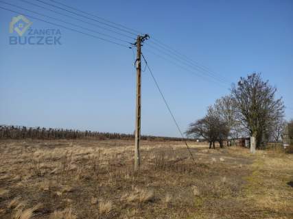 Sprzedam działki rolne o pow. 4029 w Skarbikowie