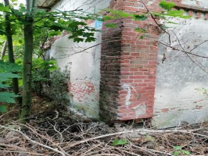 Syndyk sprzeda udział 1/6 w działkach Jędrzejów Nowy