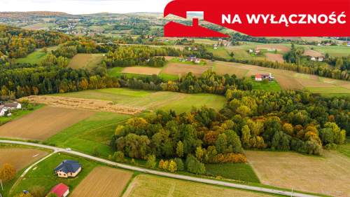 Działka Lichwinie. Rolno-leśna,   Nowa Cena   