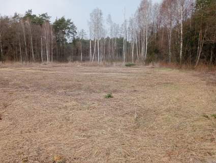 Sprzedam działkę budowlaną 15 ar