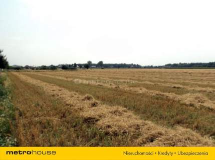 Działki 1,8 km od morza, Żukowo Morskie, Darłowo