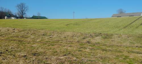 Siedlisko 2,25 ha dom 148 m garaż światłowód asfalt