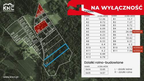 Działka leśna Tuchów