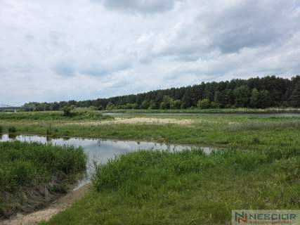 Działka rekreacyjna 1000 m2 w malowniczej okolicy
