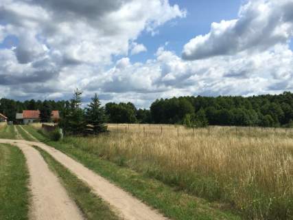 Działka budowlana -w Ogonkach