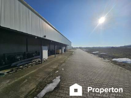 Hala 1600m2 z chłodnią Kamionna Działka 1,9 ha