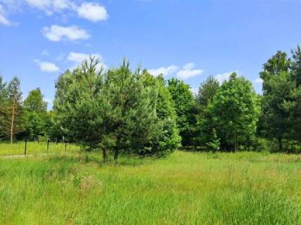 Idealna działka pod zabudowę mieszkaniową