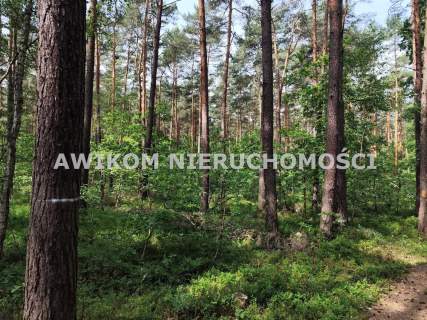 Działka budowlana na sprzedaż, 15000 m2, Grabina Radziwiłłowska
