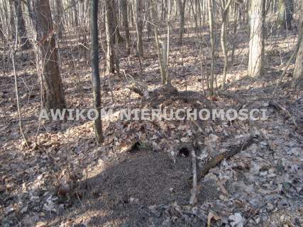 Działka budowlana na sprzedaż, 3800 m2, Książenice