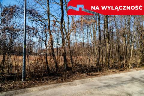 Działka 58 ar, Tarnów ul.Mokra