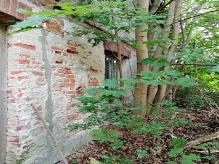 Syndyk sprzeda udział 1/6 w działkach Jędrzejów Nowy