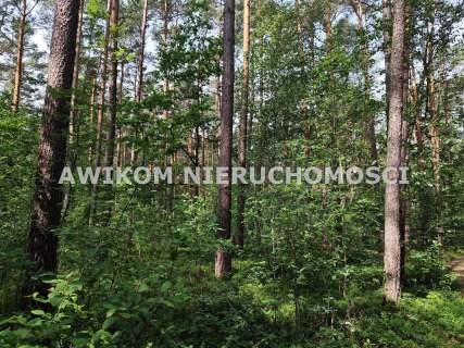 Działka budowlana na sprzedaż, 15000 m2, Grabina Radziwiłłowska