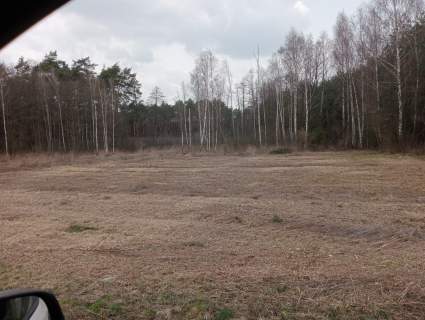 Sprzedam działkę budowlaną 15 ar