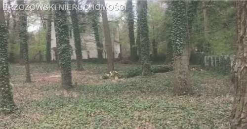 Milanówek, rejon ul. Podgórnej, MPZP, wolnostojąca