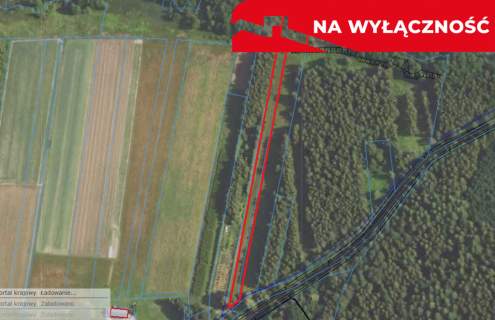 Działka budowlano-rolna 90 ar, Krzywe.