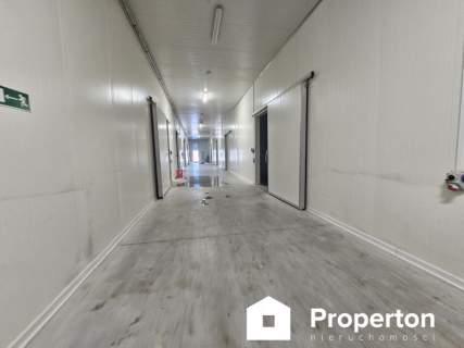 Hala 1600m2 z chłodnią Kamionna Działka 1,9 ha
