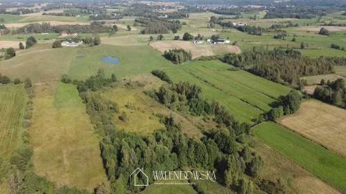 działka rolna 2,22 ha - Gowidlino, pow. kartuski