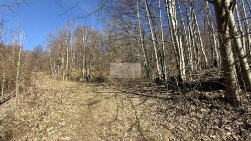 Działka 1,78ha 17 800m2 góry, inwestycyjna, Gruszków, My