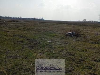 Piękna działka na skraju Ład i Dawid Bankowych