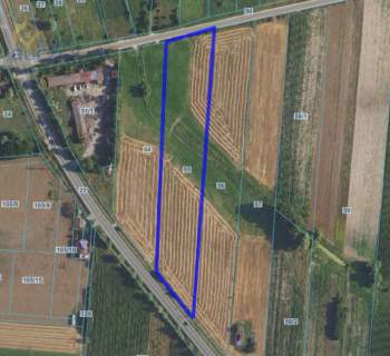 Działka rolna na Sprzedaż Droga asfaltowa