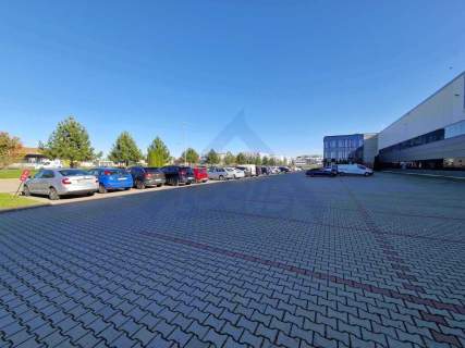 Biuro Annopol od 300 m2