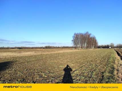 Działka 40 arów Zasole, gm. Brzeszcze