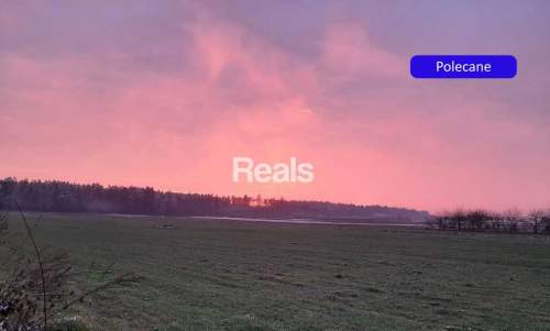 Działka siedliskowa na sprzedaż, 3000 m2, Złotopolice