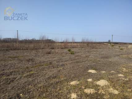 Sprzedam działki rolne o pow. 4029 w Skarbikowie