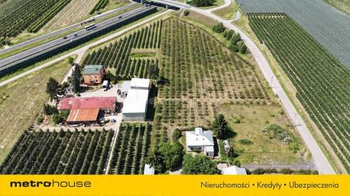 Dom przy trasie S7 na działce 16 348m2