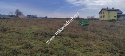 Podział 4 działek 8264m Tłumy gm Mszczów MPZP 3MN