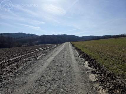 UROKLIWA DZIALKA 1,10 HA W JODŁOWEJ - OTOCZONA NATURĄ, Z P