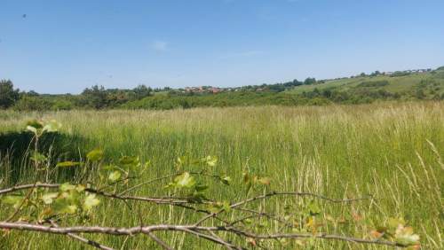 Działka budowlana na sprzedaż, 900 m2, Sadowie