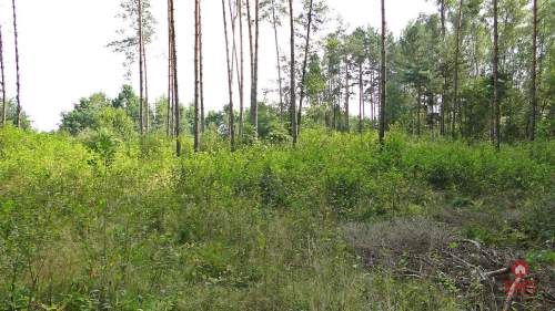 Budowlano - rolna 1,04 ha. Pod miastem
