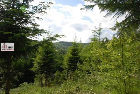 Widokowa, 1,4ha bud. z lasem, Maków Podhalański