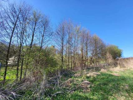 Brzoskwinia, gmina Zabierzów 5706 m2