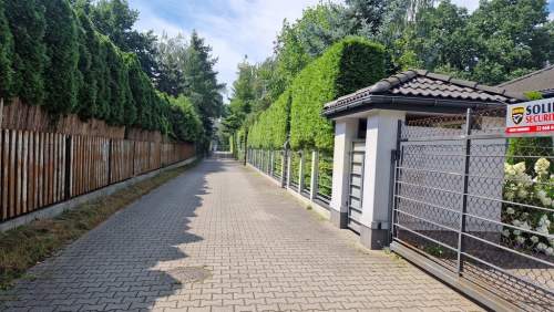 Klimatyczna działka w Dąbrowie Leśnej