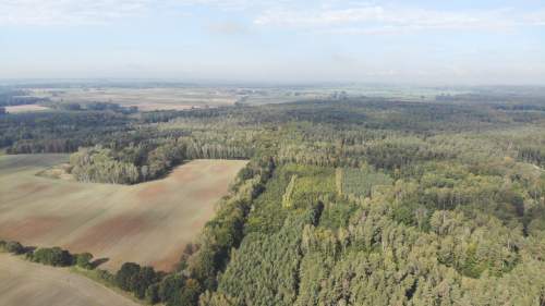 Działka przy lesie