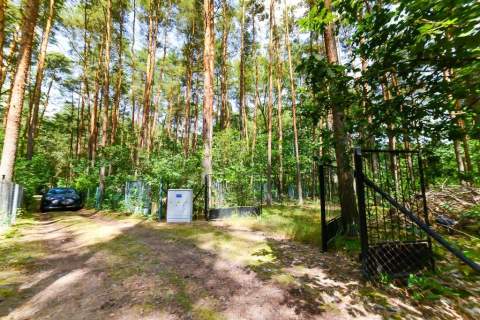 2 działki nad Narwią - Poddębie k. Wieliszewa