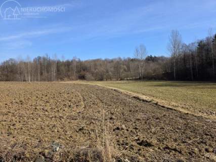 UROKLIWA DZIALKA 1,10 HA W JODŁOWEJ - OTOCZONA NATURĄ, Z P