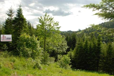 Widokowa, 1,4ha bud. z lasem, Maków Podhalański