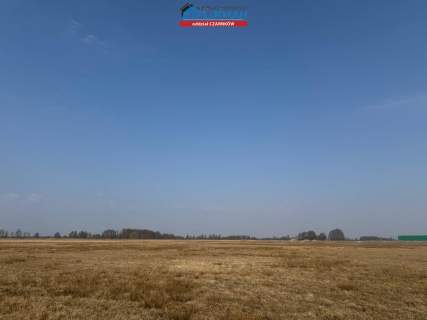 dteren inwestycyjny na sprzedaż w Czarnkowie