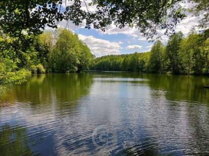 Bezczynszowa kawalerka nad jeziorem 