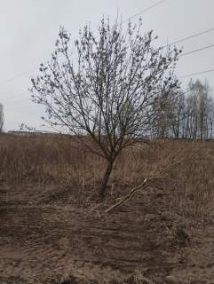 Działka budowlana na Stokach