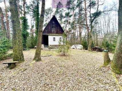 Dom letniskowy w środku lasu