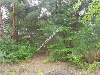 Działka 2000m 2 Musuły Okazja 