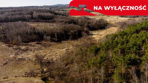 Działka budowlano-rolna 62 ar OŁPINY 
